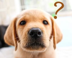 e-文書法とは？書類電子化の法律